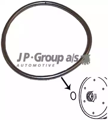 JP GROUP Tiiviste, vauhtipyörä 8119600306