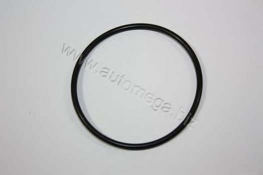 AUTOMEGA Uszczelka, termostat 3013380203
