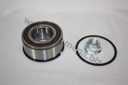 AUTOMEGA Rattalaagrikomplekt 30770102050972