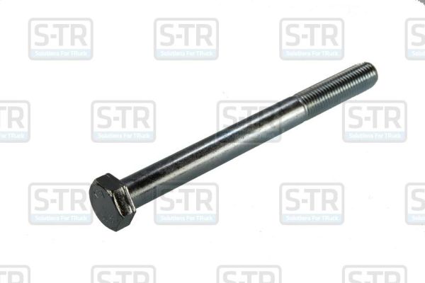 S-TR Vedrupoldid STR-4M20X220