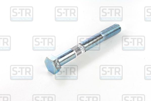 S-TR Vedrupoldid STR-4M24X200