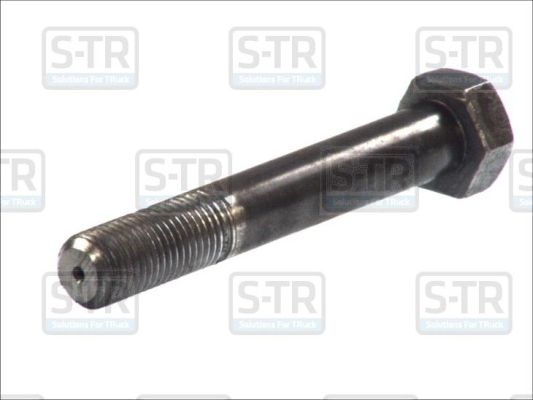 S-TR Vedrupoldid STR-4M30X200