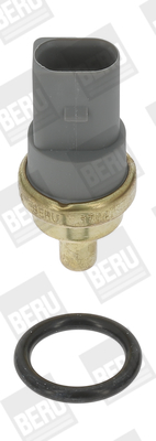 BorgWarner (BERU) Andur,Jahutusvedeliku temp. ST114