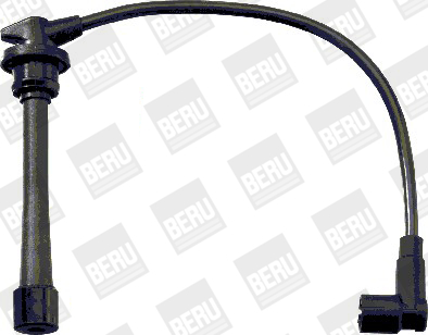 BorgWarner (BERU) Süütesüsteemikomplekt ZEF1639