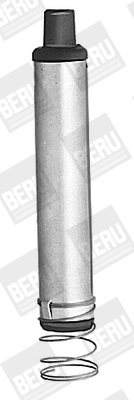 BorgWarner (BERU) Tulpanjohdon pistoke ZL005