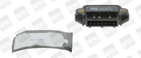 BorgWarner (BERU) Kommutaator ZM002