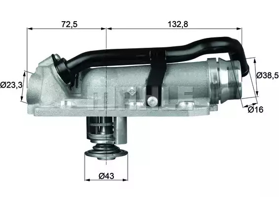 BEHR termostatas, aušinimo skystis TM 8 105