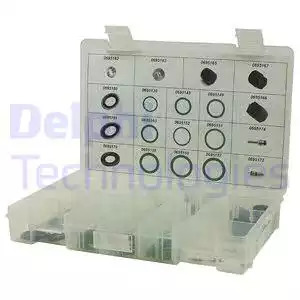 DELPHI Zestaw naprawczy, klimatyzacja TSP0695010