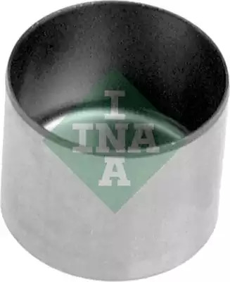 Schaeffler INA Hüdrotõukur 421 0027 10