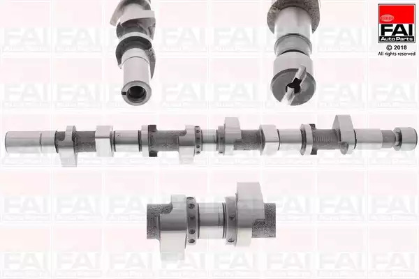FAI AutoParts Wałek rozrządu C301