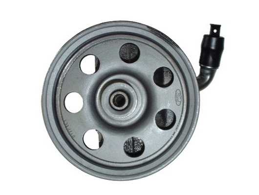 SPIDAN Roolivõimendi pump 53732