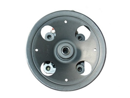 SPIDAN Roolivõimendi pump 54066