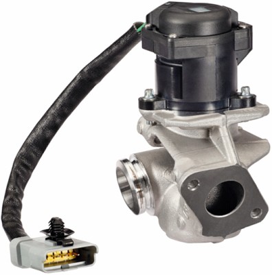 HELLA EGR-klapp 6NU 010 171-131