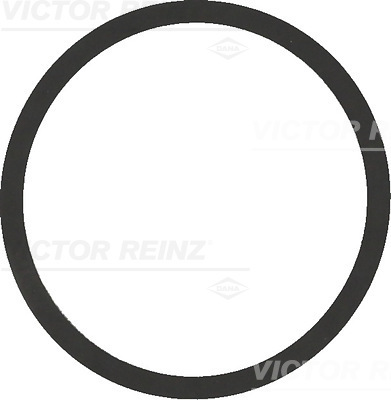 VICTOR REINZ Uszczelka, kolektor dolotowy 40-77542-00