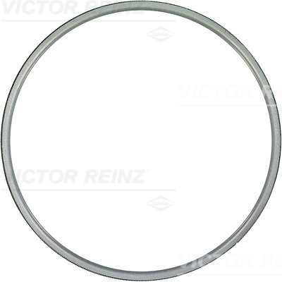 VICTOR REINZ Uszczelka, głowica cylindrów 61-23405-00