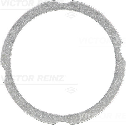 VICTOR REINZ Tihend,silindripea 61-38260-30