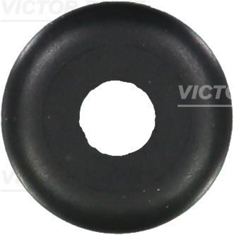 VICTOR REINZ Uszczelniacz, trzonek zaworu 70-24484-00