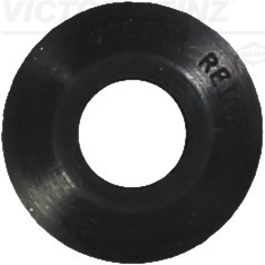 VICTOR REINZ Uszczelniacz, trzonek zaworu 70-25184-00