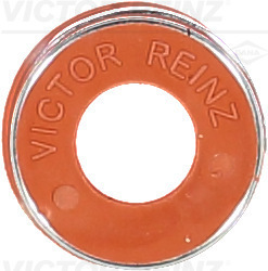VICTOR REINZ Uszczelniacz, trzonek zaworu 70-41953-00