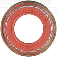 VICTOR REINZ Uszczelniacz, trzonek zaworu 70-42054-00