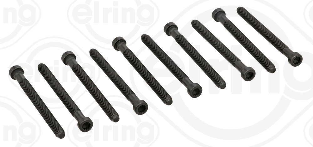 ELRING Bultsats, topplock 189.380