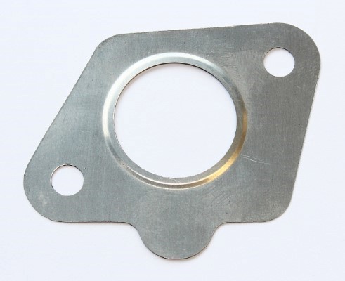ELRING Tihend, EGR-klapp 569.360