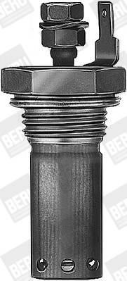 BorgWarner (BERU) Hõõgküünal,seisuküte GH649