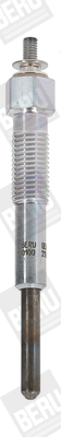BorgWarner (BERU) Hehkutulppa GN043