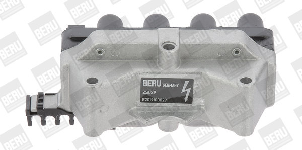 BorgWarner (BERU) Süütepool ZS029