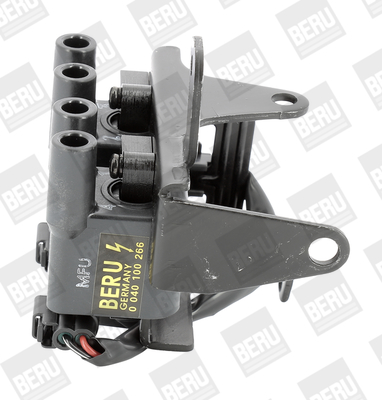 BorgWarner (BERU) Süütepool ZS266