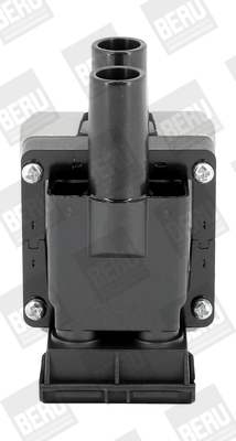BorgWarner (BERU) Süütepool ZS313
