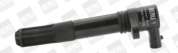 BorgWarner (BERU) Süütepool ZS322