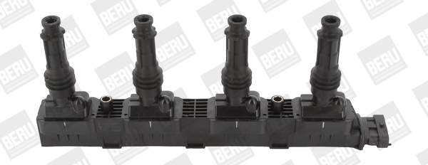 BorgWarner (BERU) Süütepool ZS338