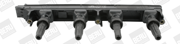 BorgWarner (BERU) Süütepool ZS352