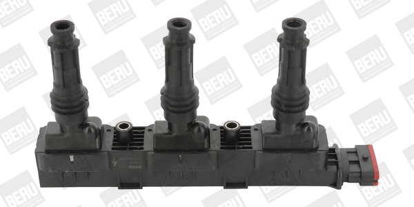 BorgWarner (BERU) Süütepool ZS358