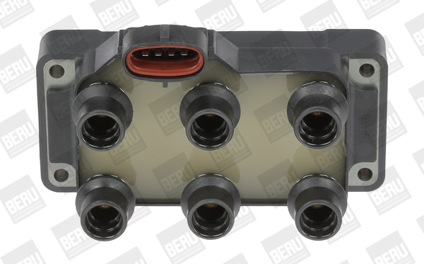 BorgWarner (BERU) Süütepool ZS371