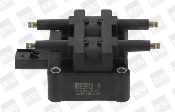 BorgWarner (BERU) Sytytyspuola ZS380