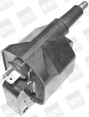 BorgWarner (BERU) Cewka zapłonowa ZS393