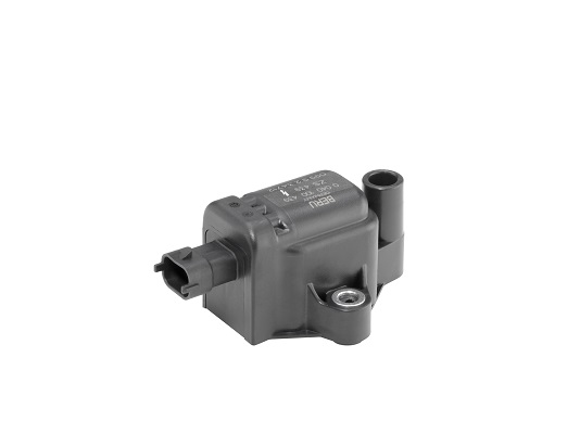 BorgWarner (BERU) Cewka zapłonowa ZS439