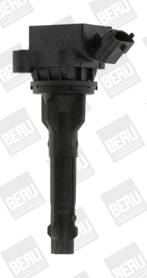 BorgWarner (BERU) Süütepool ZS449