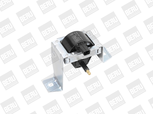 BorgWarner (BERU) Süütepool ZS469