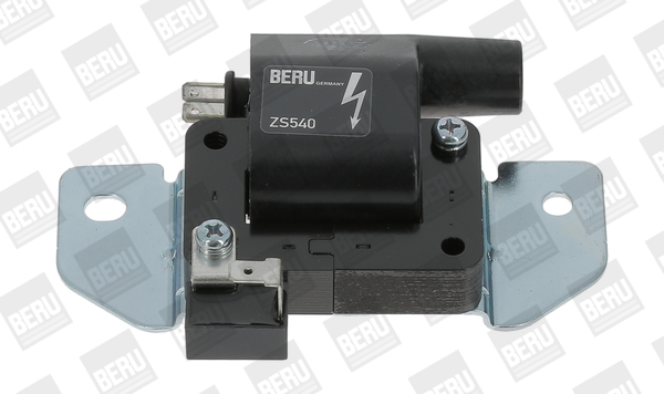 BorgWarner (BERU) Süütepool ZS540