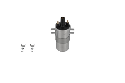 BorgWarner (BERU) Cewka zapłonowa ZS564