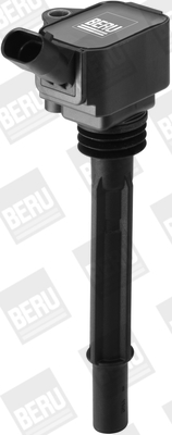 BorgWarner (BERU) Süütepool ZS588