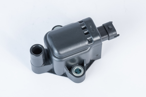 BorgWarner (BERU) Cewka zapłonowa ZS593