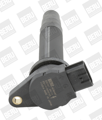 BorgWarner (BERU) Süütepool ZSE021