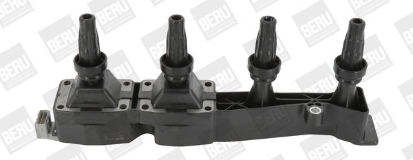 BorgWarner (BERU) Süütepool ZSE045