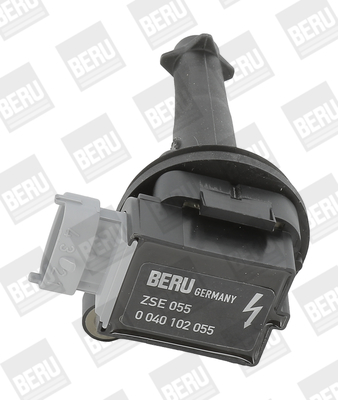 BorgWarner (BERU) Süütepool ZSE055