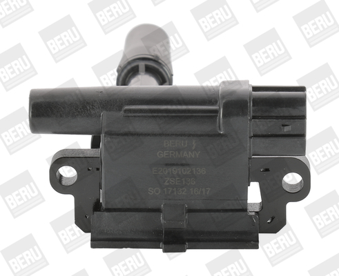 BorgWarner (BERU) Süütepool ZSE136