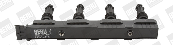 BorgWarner (BERU) Süütepool ZSE147